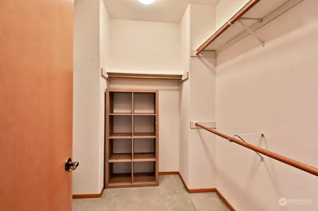 Walk-In Closet with additional storage behind the door.