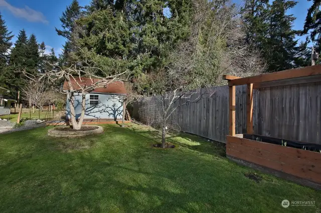 Garden shed and space to garden. Some fruit trees, too!