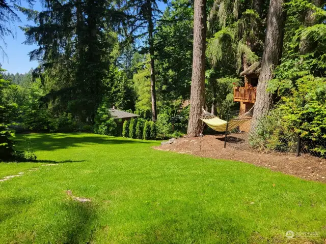 Great backyard for entertaining and Family.