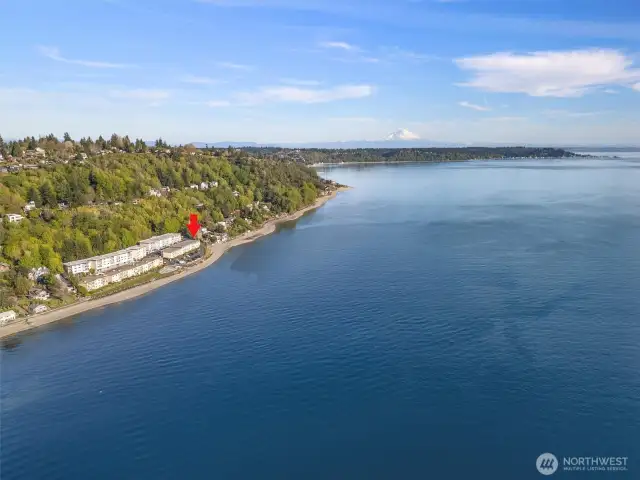 Mount Rainier in the distance.