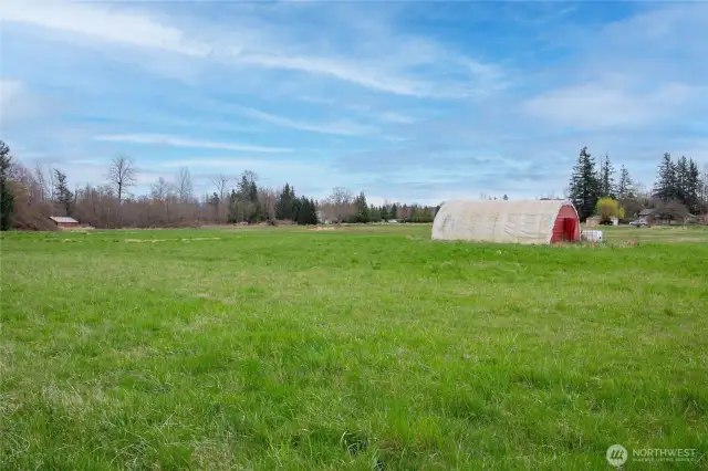 Gorgeous pasture!