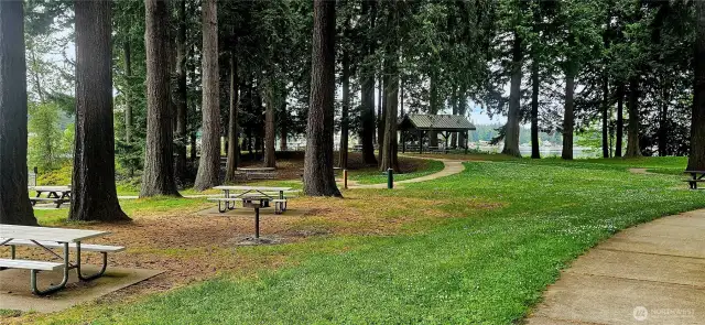 Wenberg County park picnic area
