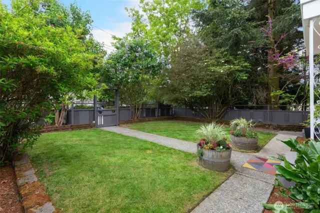 Fenced front yard