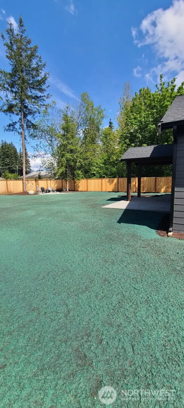 Freshly hydro-seeded backyard
