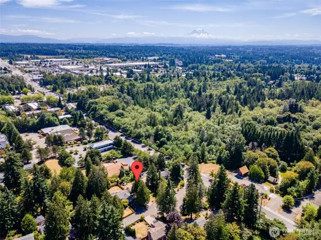Easy access to freeways and public transportation.