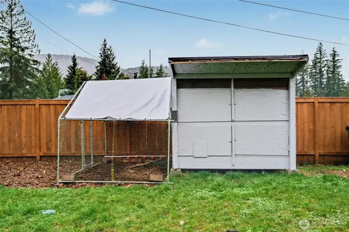 Chicken Coop