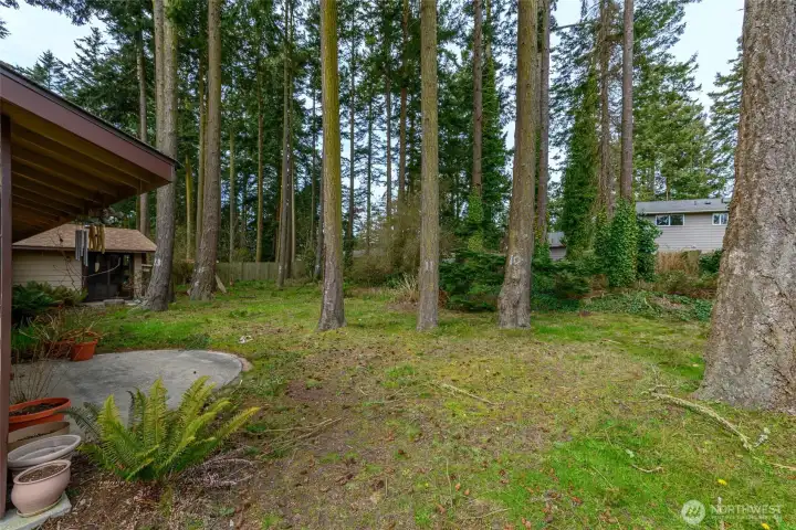 Backyard and patio.