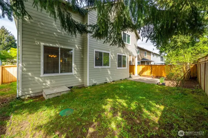 Back yard with extended patio