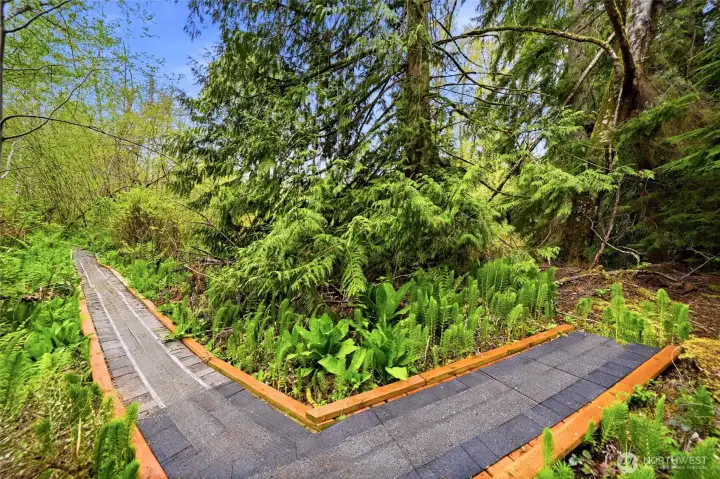 Nature boardwalk around the perimeter of the property.