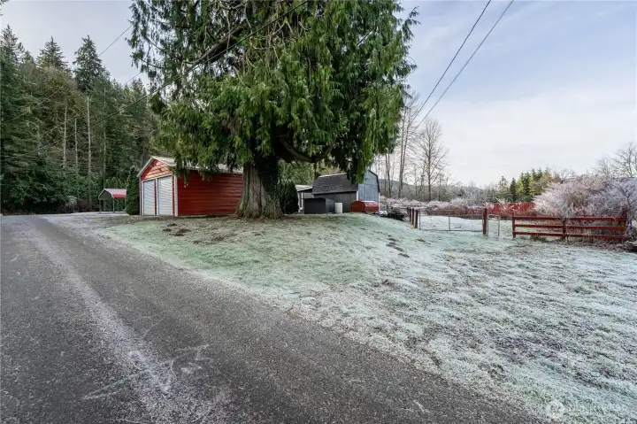 Fenced Pasture Area