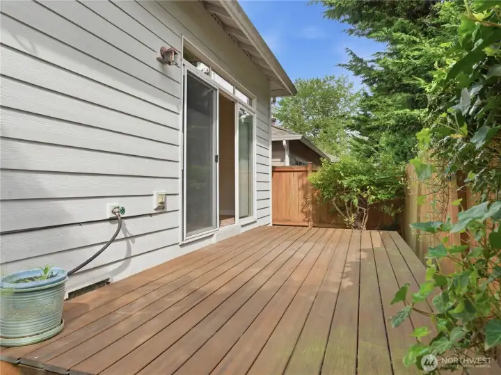 Fully fenced backyard face to south