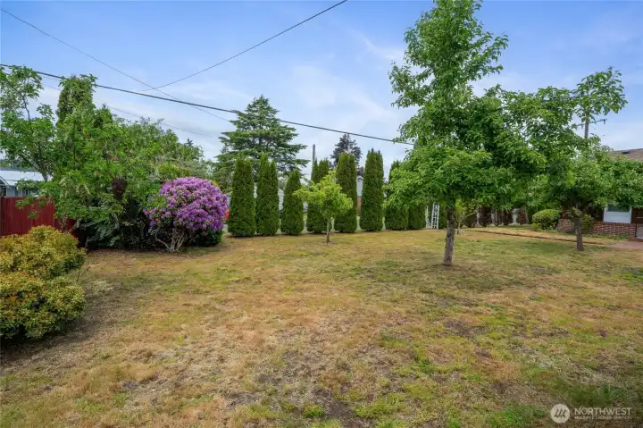 Front Yard