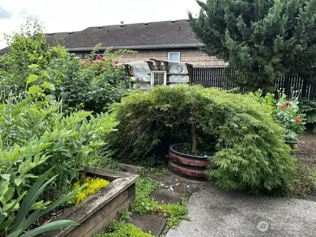 Potted maple stays