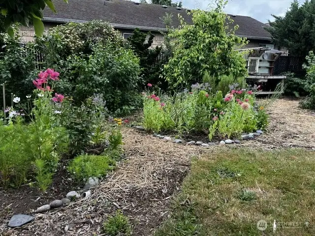 Another view of the back yard