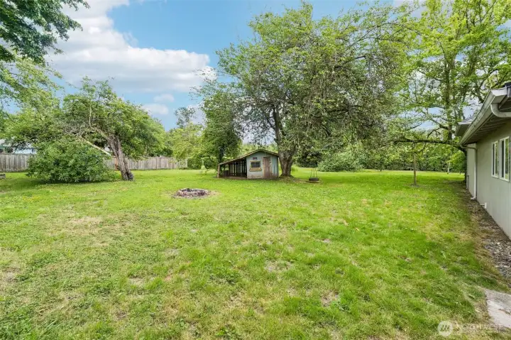 Large yard with fruit trees Large yard with fruit trees