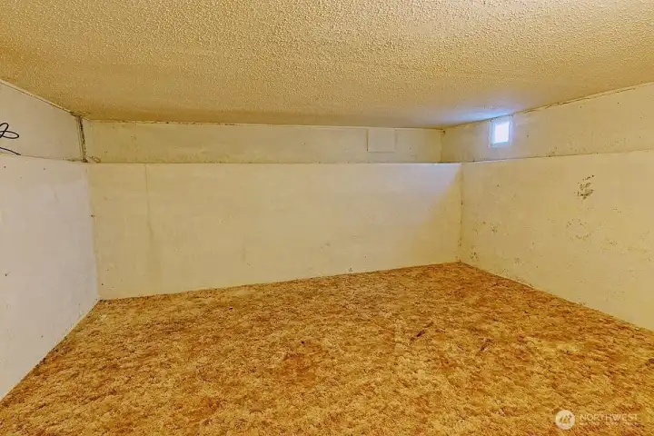 lower level room lower level room