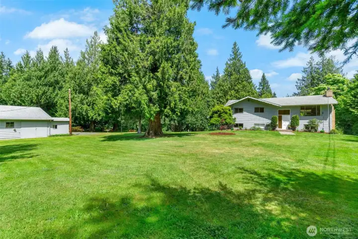 Large, sunny level yard.