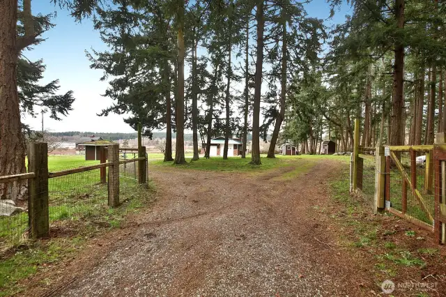 Approach to the property with gated entrance...all of the acreage is fenced.