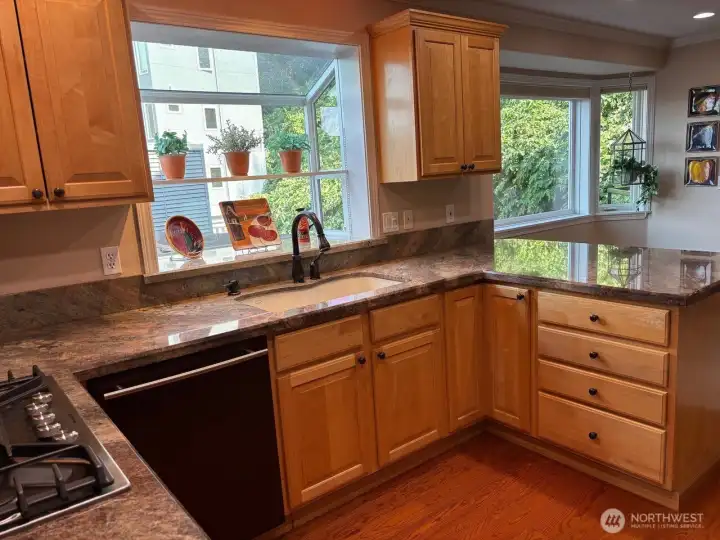 Box window over sink, gas range, quartz counters counters