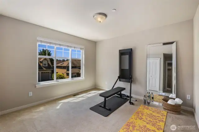 5th bedroom or Gym