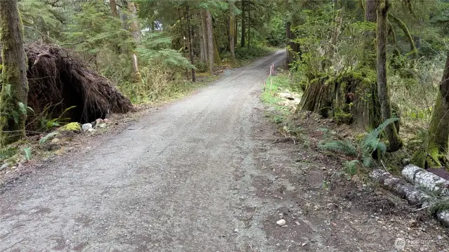 Road through 7511