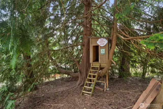 Tree Fort