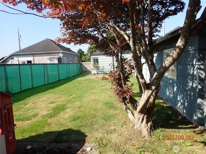 Back side yard