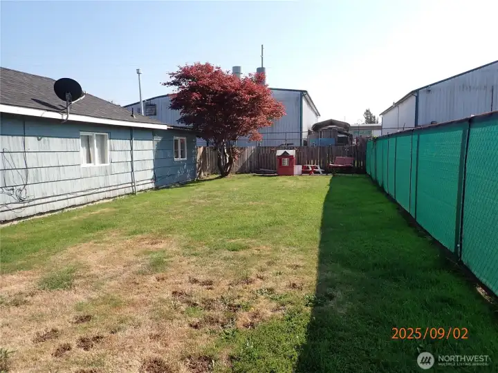 Back side yard