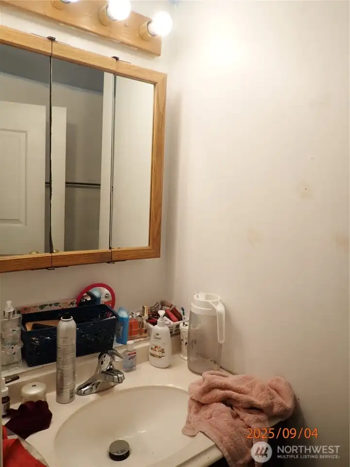 Back bathroom