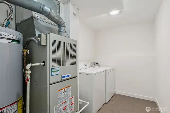 Furnace professionally cleaned. Blower assembly and inducer motor replaced.