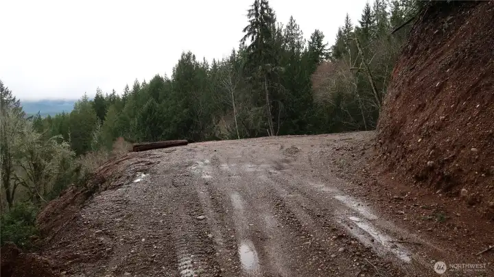 clear area to enjoy get together and have a fun.