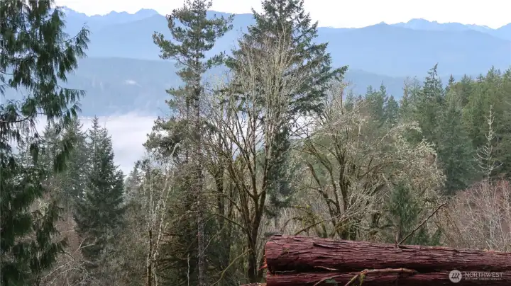 View of the hood canal and mountains from the open area.
