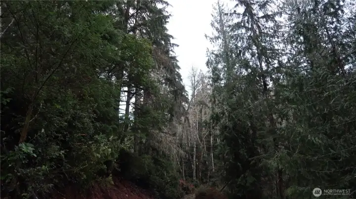 More view of the property.