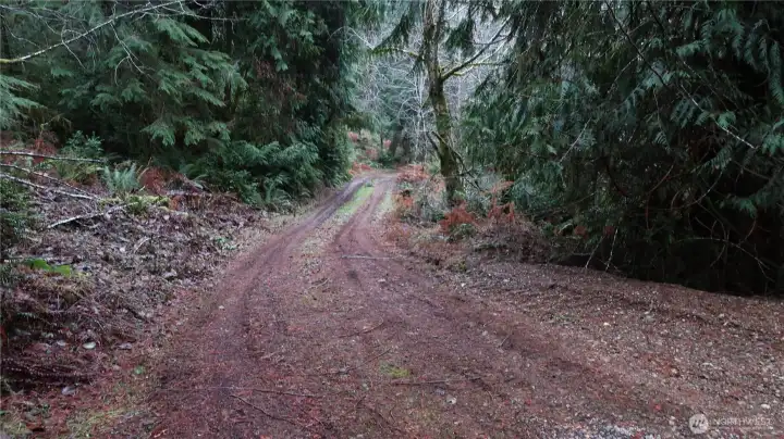 Driveway going down the driveway.