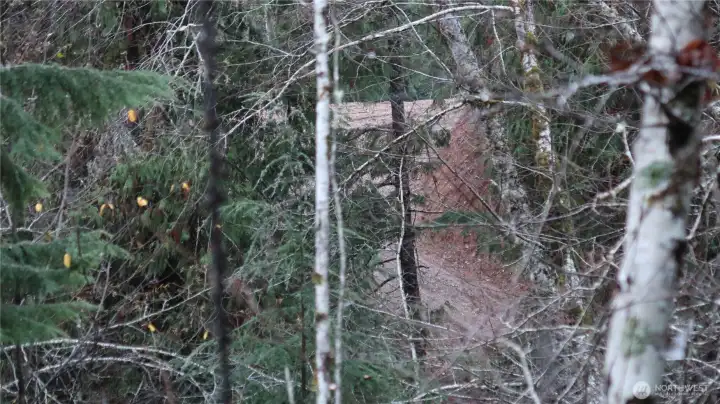 open clear area to the property.