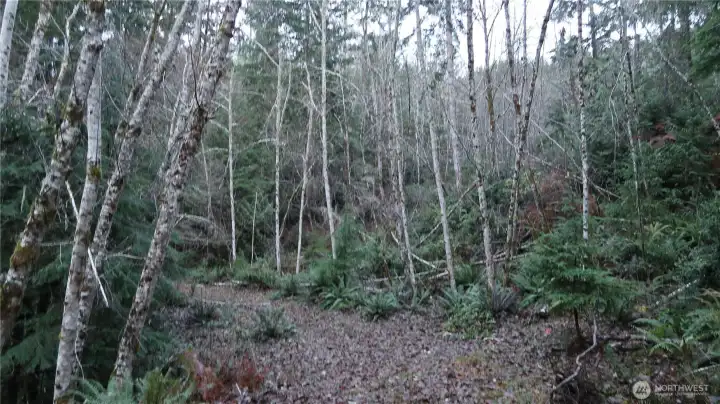 More of the property view