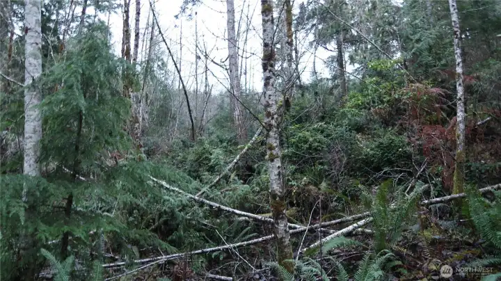 View of the property