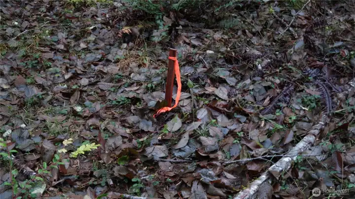 This could be the property line