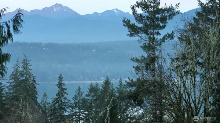 All property owners' dose has access to the saltwater.