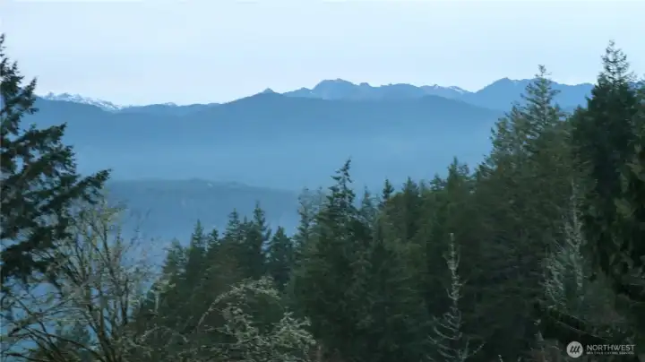 Mountain view from the clear area.