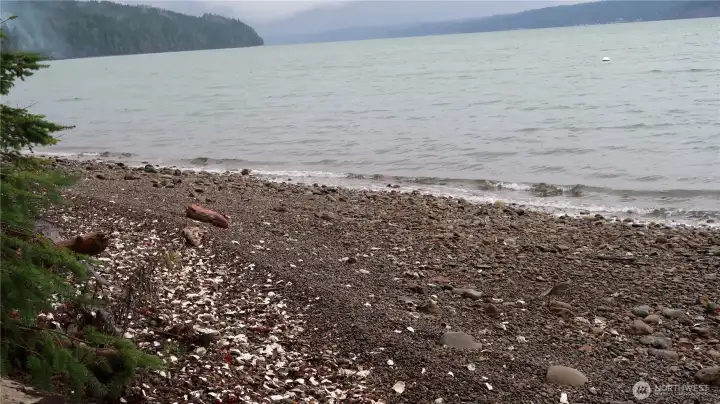 Oyster, shrimp and salmon fishing at your finger's tips.