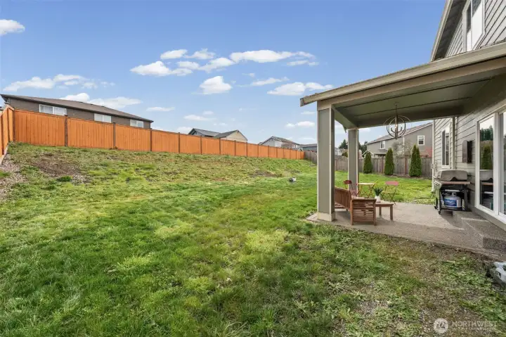 Huge backyard.