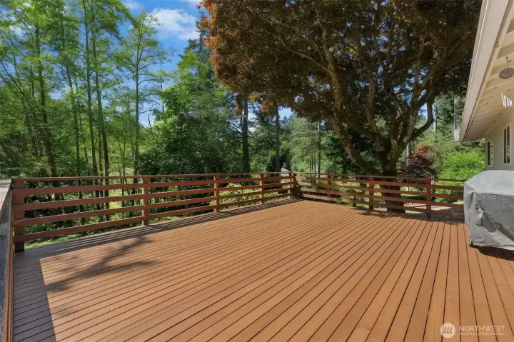 Main level deck accessible through dining French doors and east side of the home. Sellers to complete paint by closing. New wood planks added. Edited to show with paint look