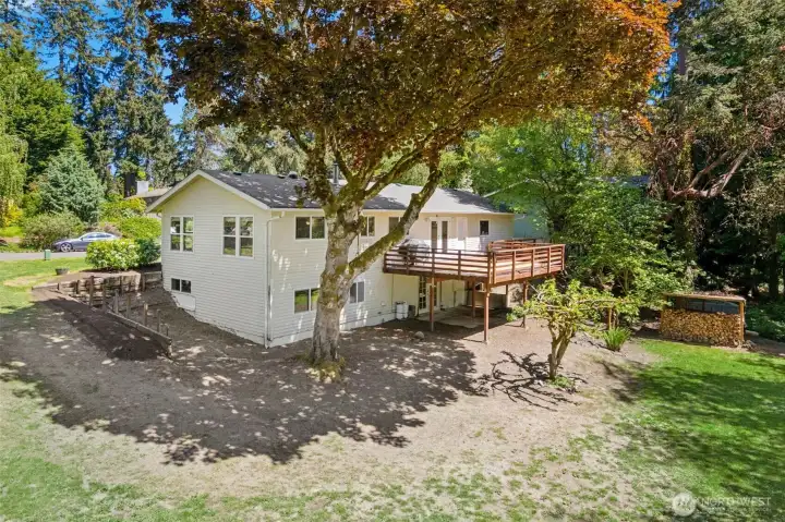 Enjoy the sounds of nature in this backyard which features a Heritage Maple Tree, apple tree, native ferns, and wood shed