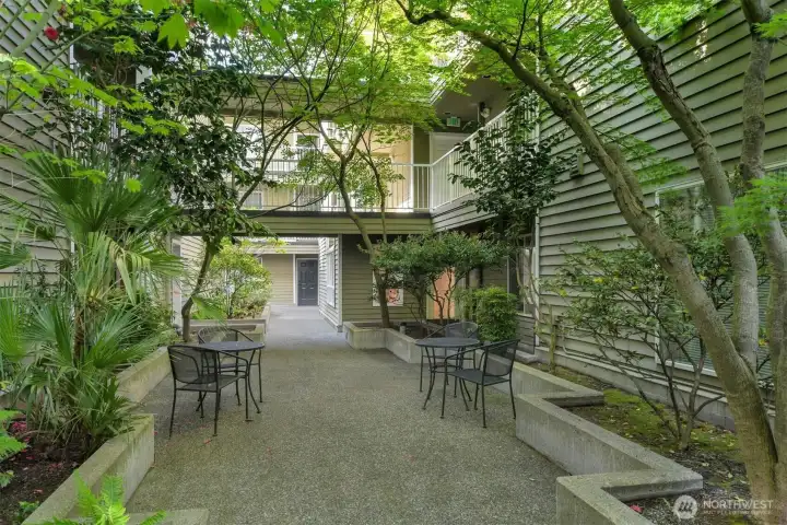 Peaceful courtyard.