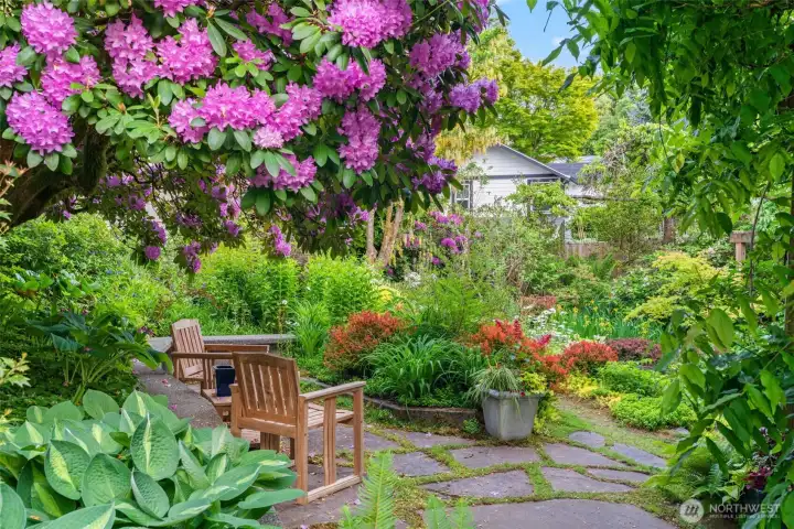 Pull up a chair and stay awhile — this magical stone patio, canopied by sweeping rhododendron blooms and surrounded by layers of color and texture, is the kind of place where weekend mornings disappear.
