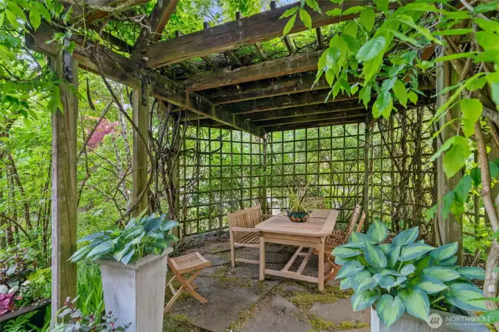 Al fresco dining taken to another level — this enchanting vine-covered arbor, draped in wisteria and climbing greenery, creates a living outdoor room perfect for long summer dinners.