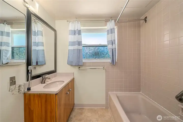 Guest bathroom - lower level.