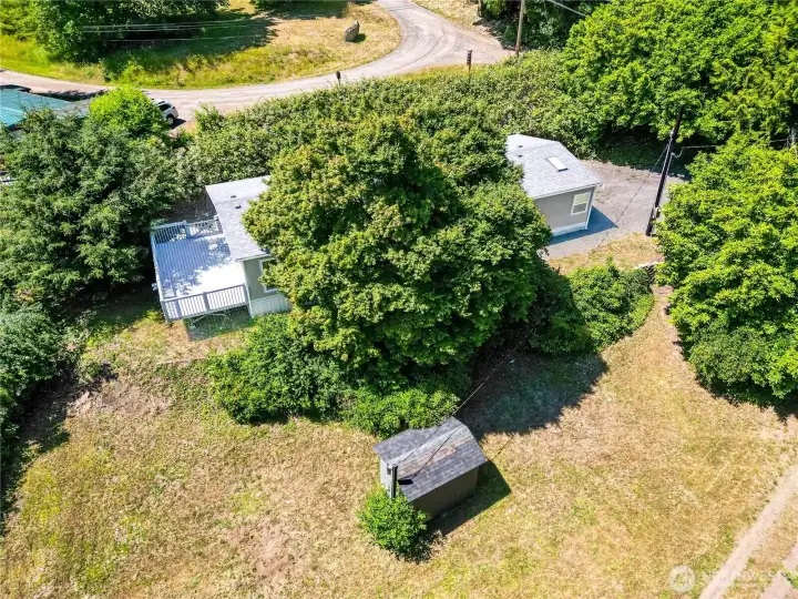 The gently sloping backyard provides open space for gardening, recreation, or relaxing outdoors, with a storage shed and mature trees creating a peaceful natural setting.