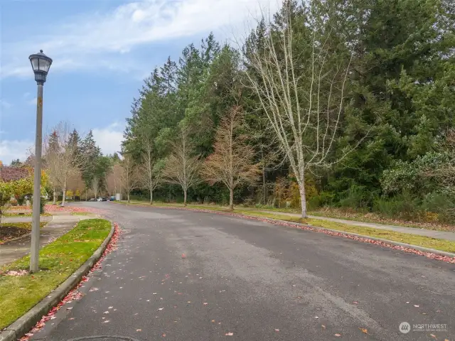 Road view along Bell Hill Pl